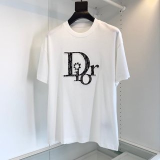 定番ディオール ERL Tシャツ 偽物 リラックスフィット deq93152